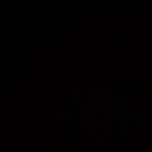 Meet your Posher, Jadalee